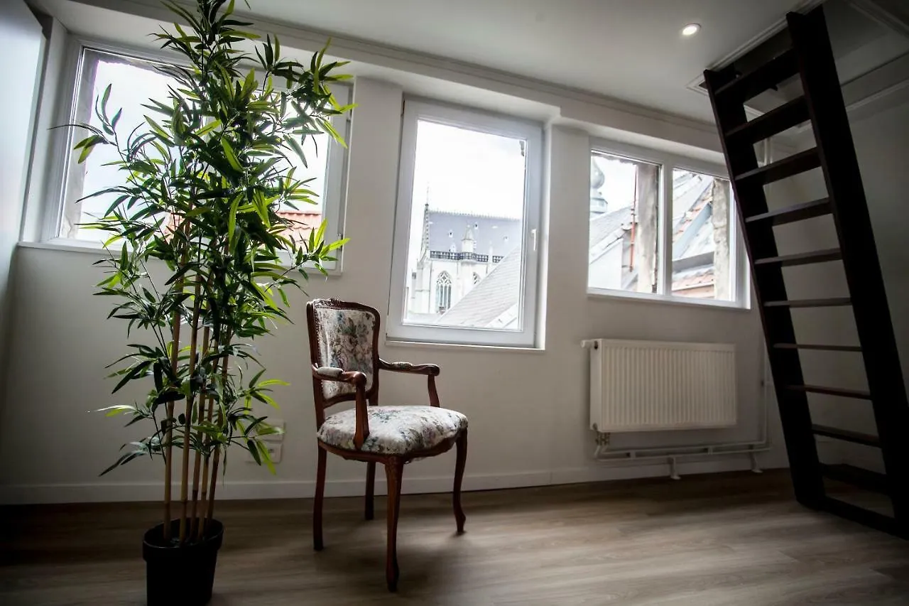 Luxury Suites Cathedral By Rikas Hotels Antverpy Apartmán