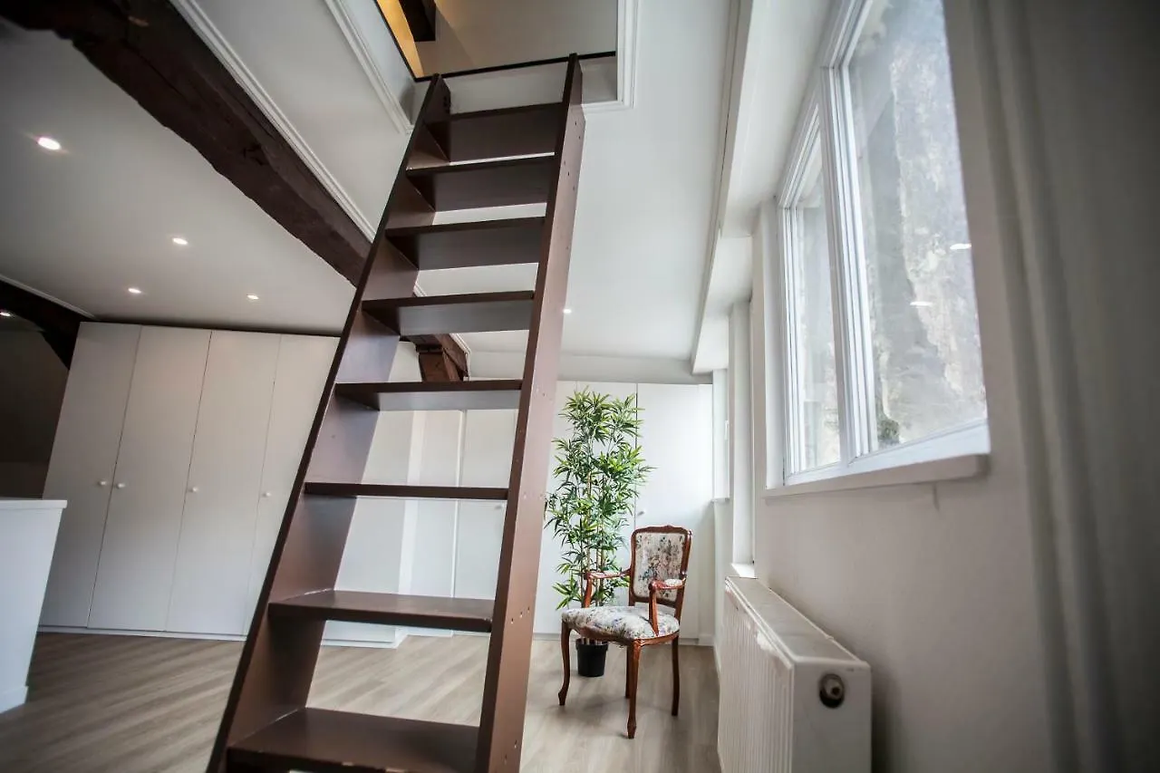 Luxury Suites Cathedral By Rikas Hotels Antverpy 0*,  Belgie